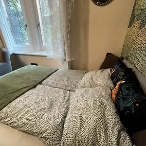  Appartement Brody Str 13